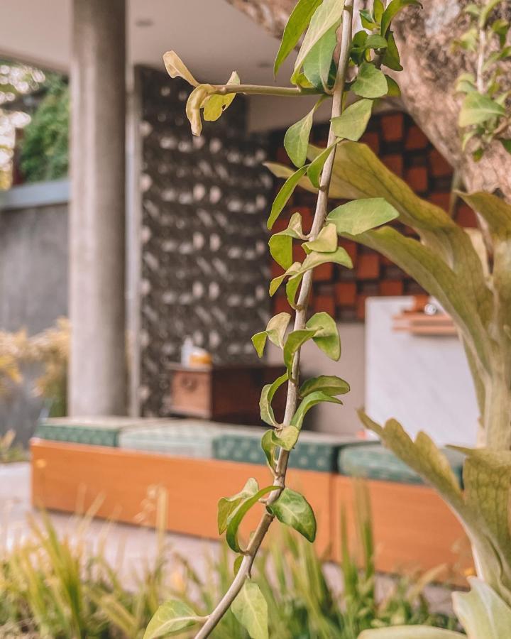Perissos Echo Beach Canggu Eksteriør billede